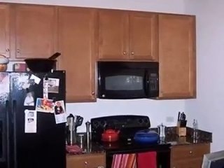 Homes for Sale - 100 E 14th St Apt 1108 - Chicago, IL 60605