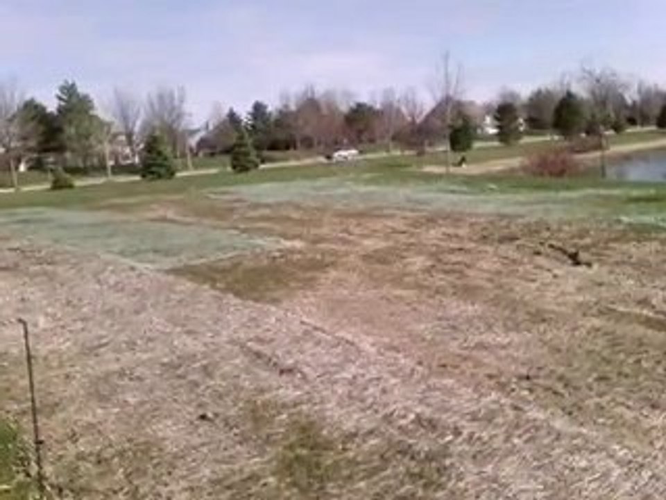 Homes for Sale - 2140 Fescue Dr - Aurora, IL 60504 - Coldwel