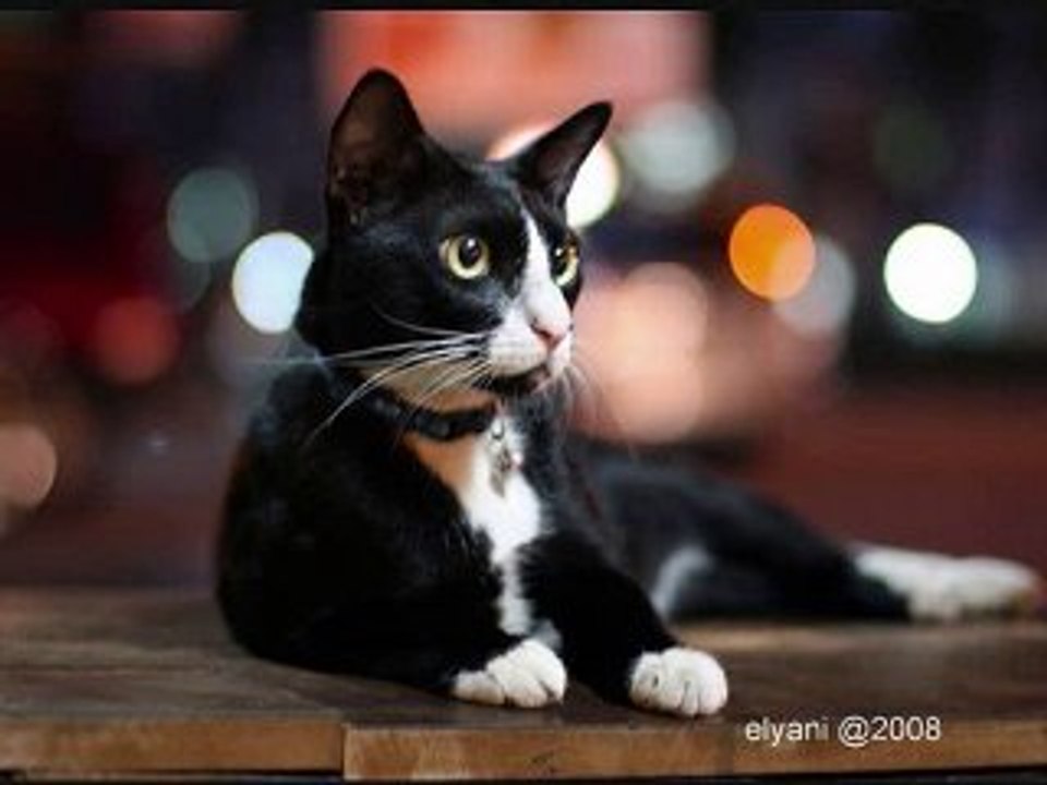 Fergie  Glamorous - Ele Cat Remix