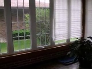 Homes for Sale - 16745 Elm St - South Holland, IL 60473 - Co