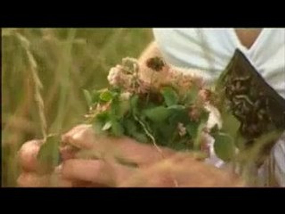Josef Vágner - Mě sílu dáš