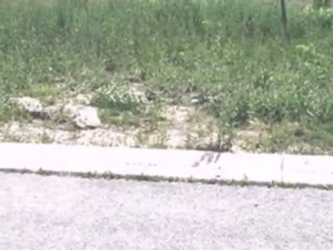 Homes for Sale - 140 Mueller Circle - Plainfield, IL 60586 -