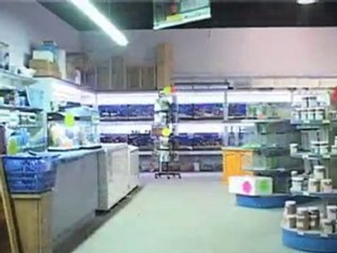 Aquariums Blacktown Strictly Aquariums NSW