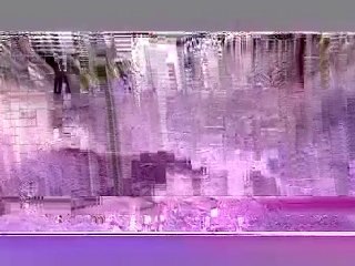 Landscaping services in Chicago