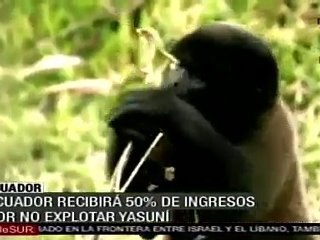 Ecuador recibirá 50% de ingresos por no explotar Yasuni