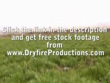 Free Stock Footage - Royalty Free Stock Video Footage 4