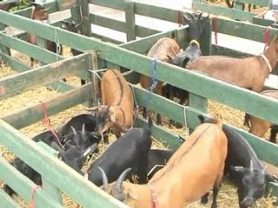 Landbouwtentoonstelling trekt rond de 14000 bezoekers