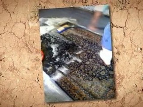 Silk Rug Manalapan FL 561