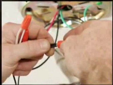 Pool Maintenance and General Cleaning Services