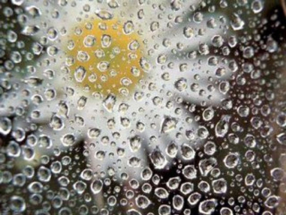 kayahan masal yüzlüm