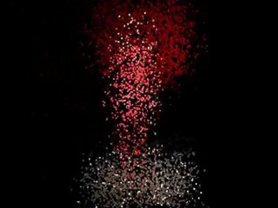 Lorenzo Riva e Nino Lettieri ad AltaRoma AltaModa 2010