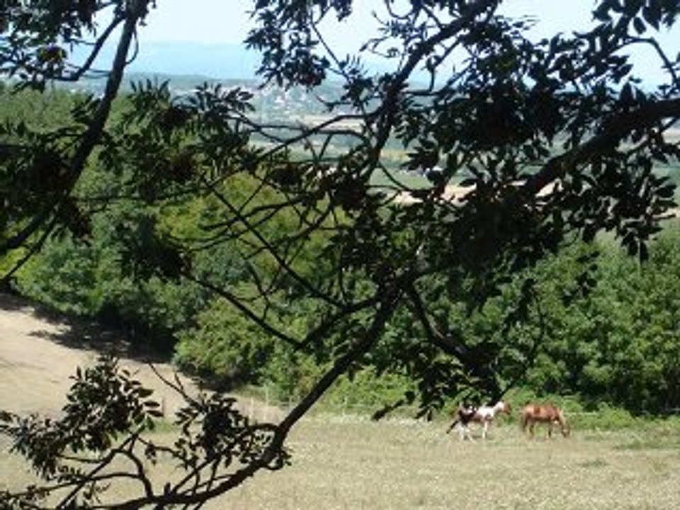 Balade en Vercors
