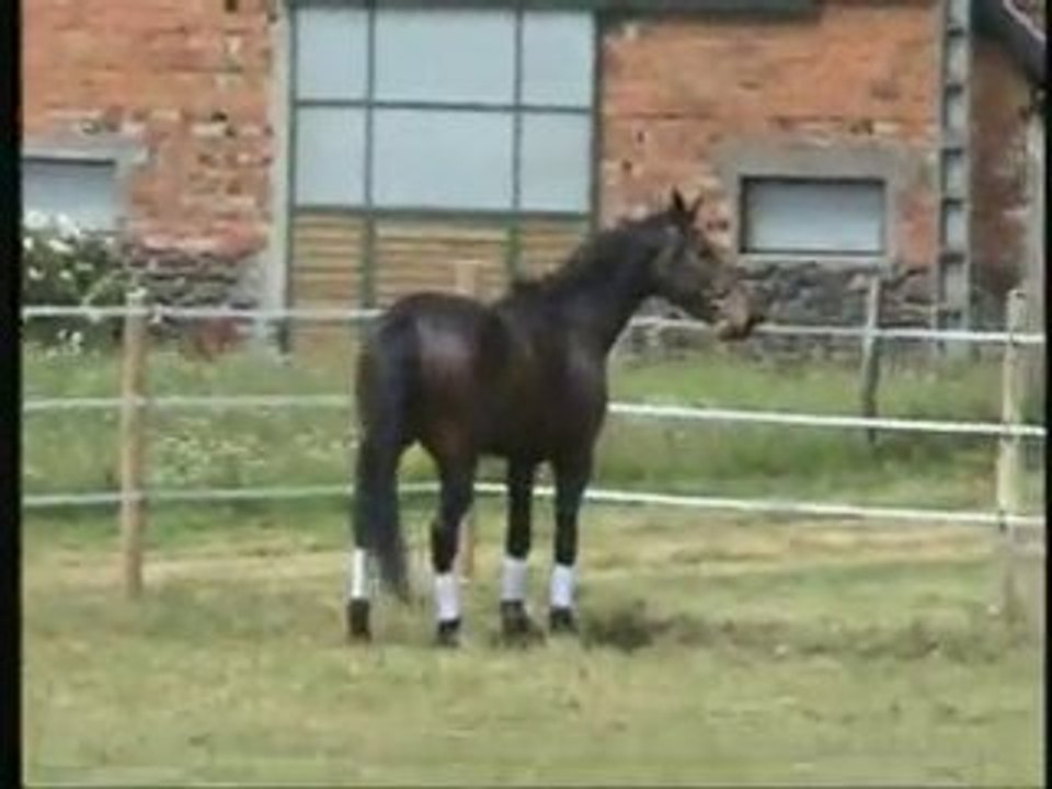 QUINTANA PAD 2010