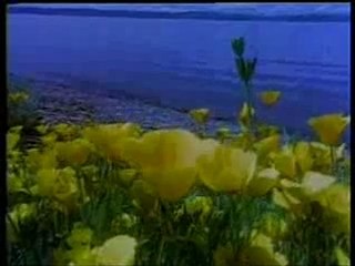 Bilgi ve delilleri daha iyi görebilmek