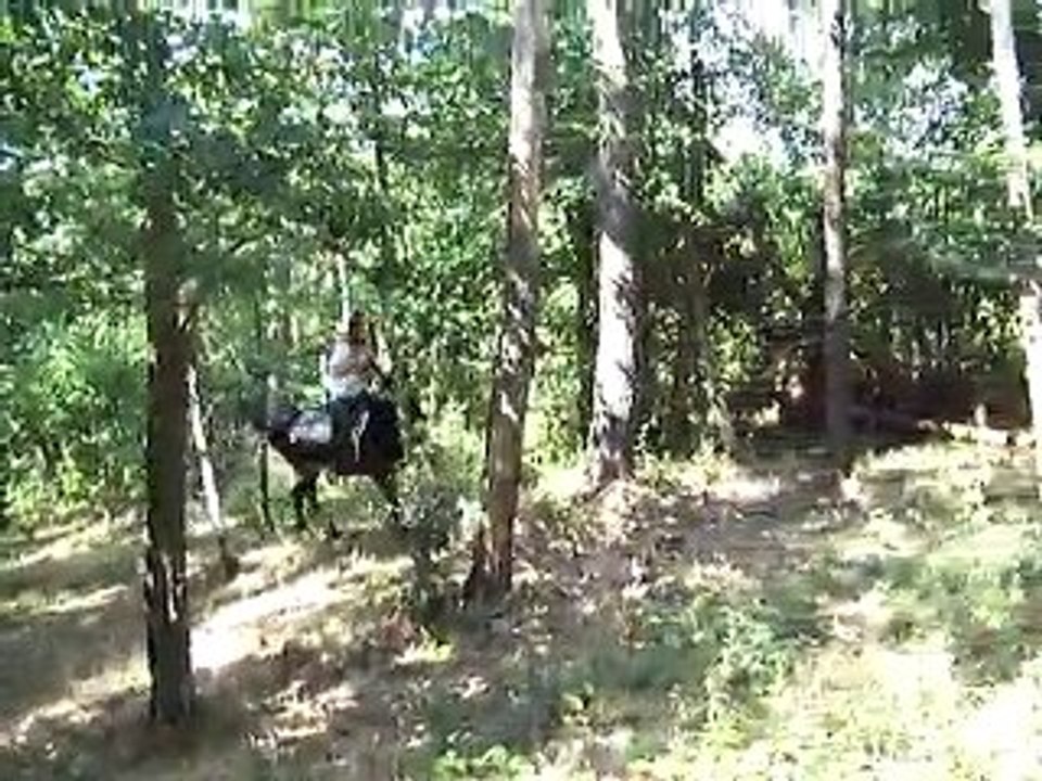 cross 3eme partie