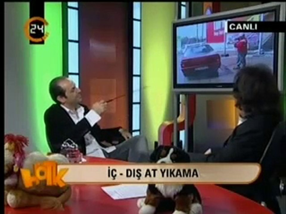 iç dış at yıkama