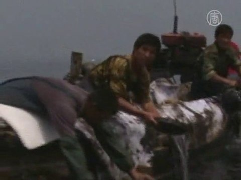 В КНР скрывают объём утечки нефти в Желтое море?
