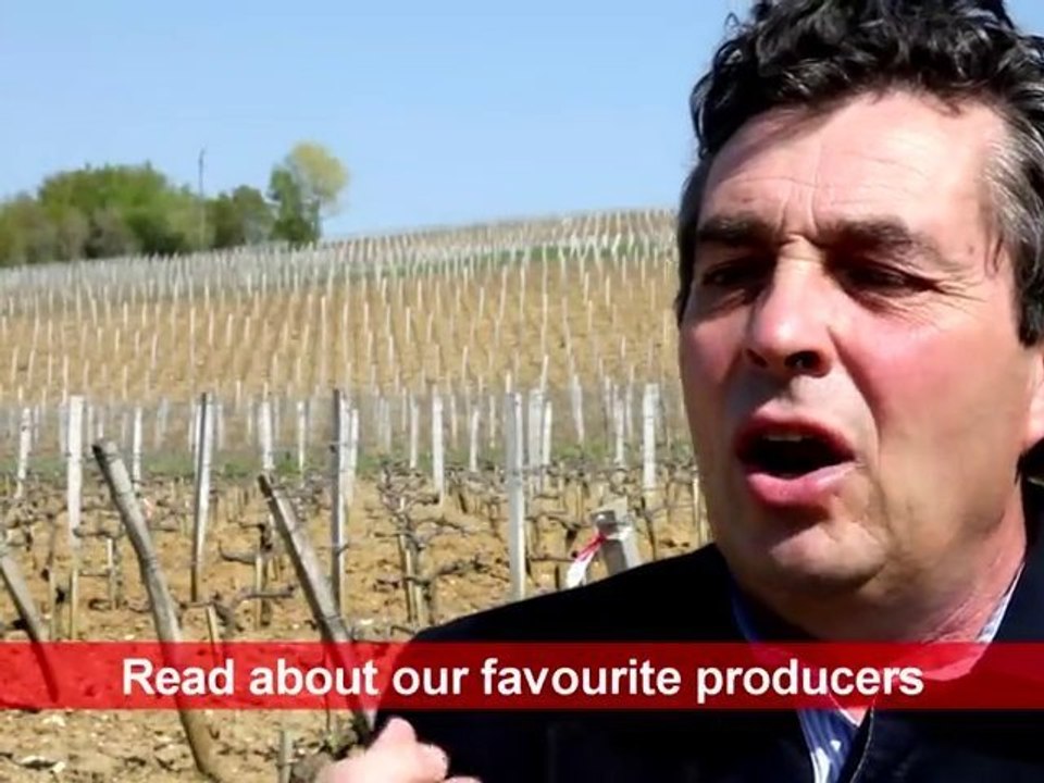 [E] Denis Dubourdieu, winemaker and consultant #2