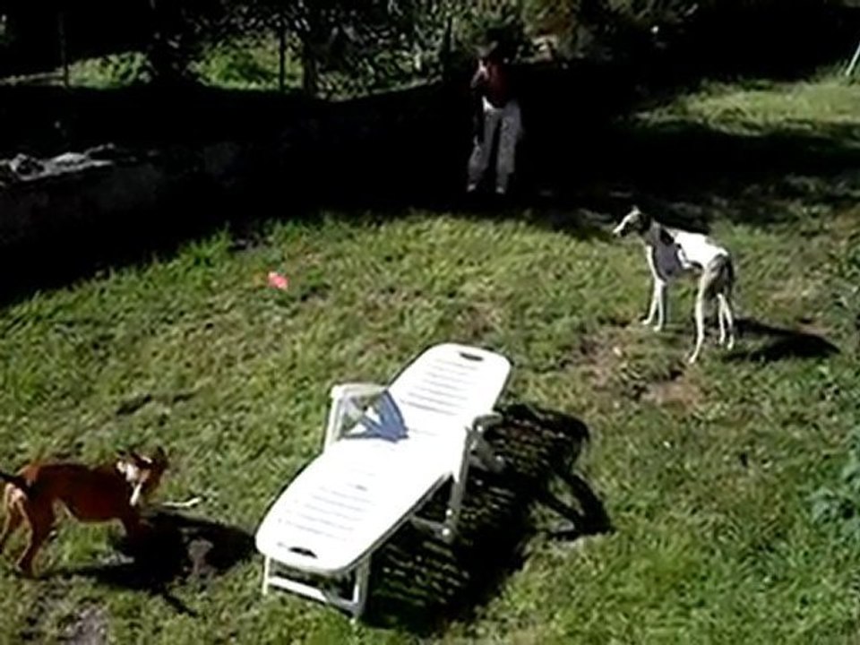 Magie en vacances avec ses copains