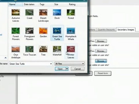Shopping Cart software :Pinnacle Cart: Adding secondary imag