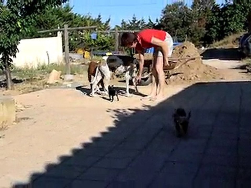 Magie et son nouveau copain Fidji