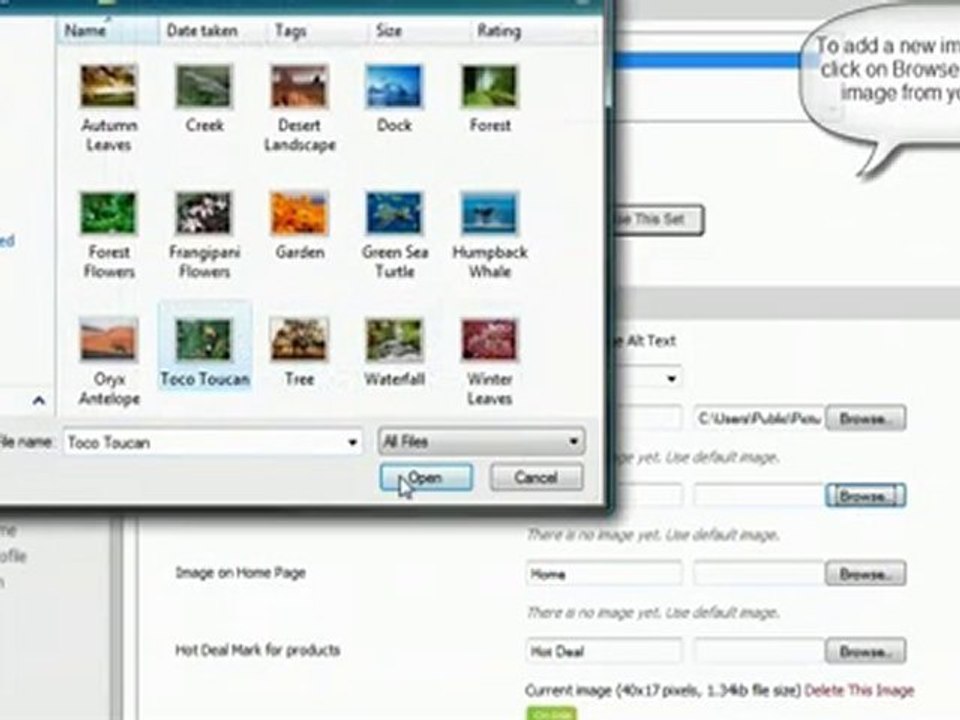 Shopping Cart software :Pinnacle :Editing your default site