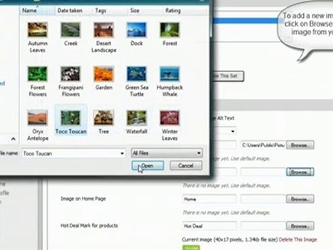 Shopping Cart software :Pinnacle :Editing your default site