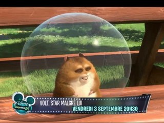 Volt - Disney Cinemagic - Bande Annonce 2