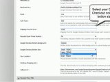Shopping Cart software :Pinnacle Cart: setup Google Checkout