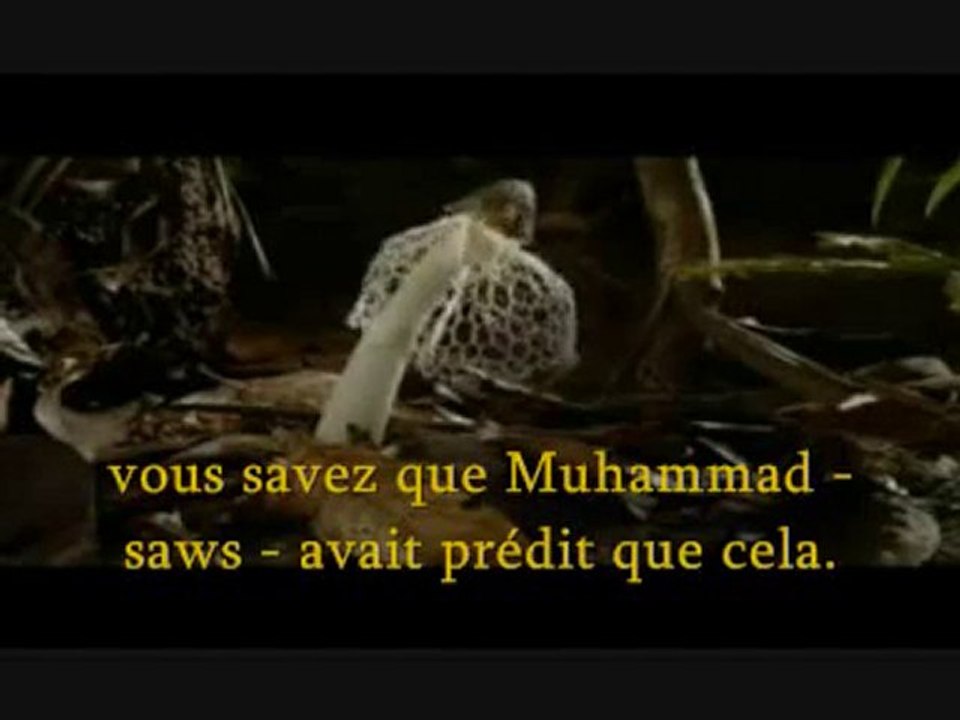 The Muslim Village -  Sheikh Imran Hosein Pt. 2