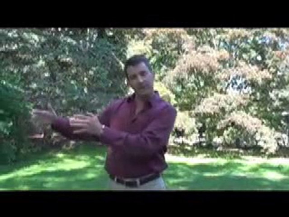 Psychologist, Consultant & Coach - dr brett denkin