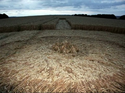 New cross-shaped Crop Circle: Wiltshire, UK - 3 August 2010