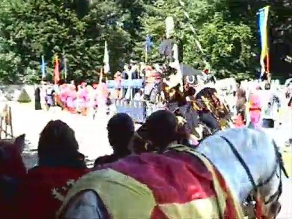 Musée de la Renaissance Château Ecouen spectacle le Roi