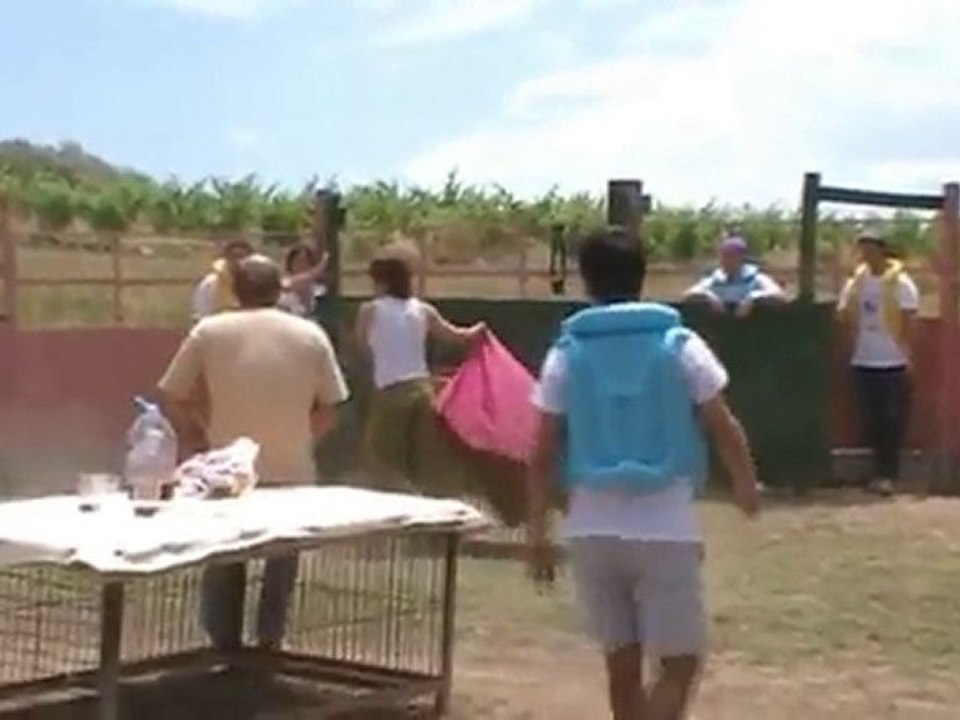 Capea.(Despedidas de soltera) en Logroño.