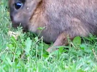 Dimanche 1er Août - 002