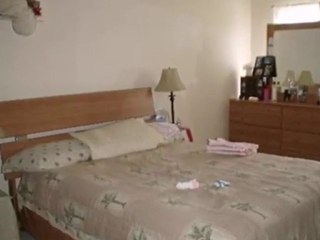 Homes for Sale - 1336 Normantown Rd - Naperville, IL 60564 -