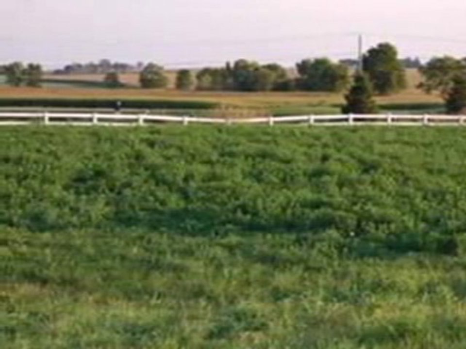 Homes for Sale - Lot108 Championship Court - Yorkville, IL 6