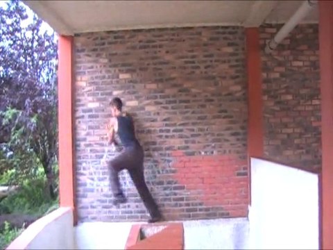 Akin: Trip to Lisses 2010