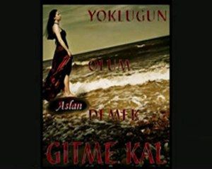 Ayhan aslan