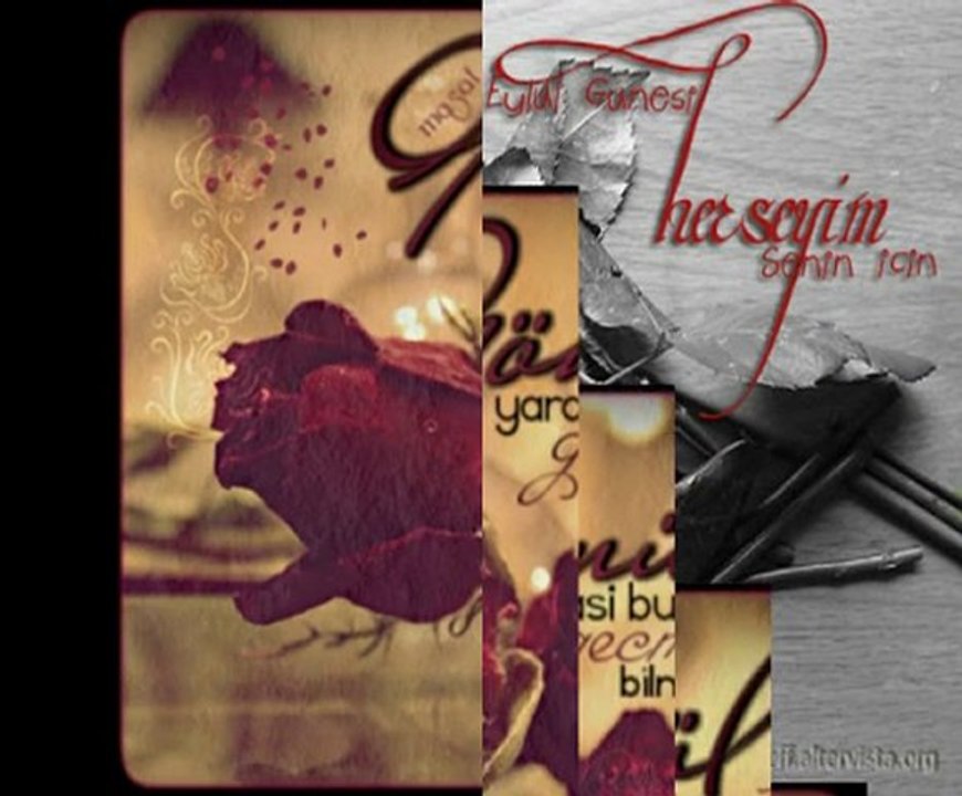 EZGİNİN GÜNLÜĞÜ..2010..gözüm senden başka...