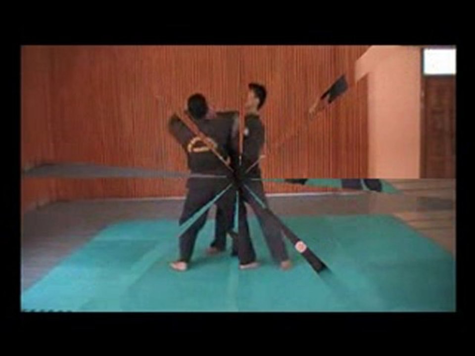 Looking For Martial Arts DVDs?