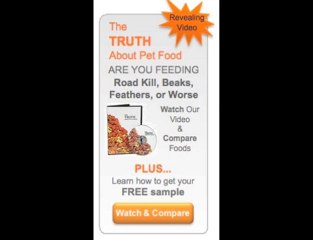 Pet Food Myths: Probiotics