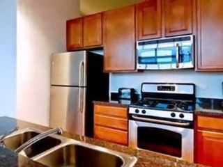 Homes for Sale - 1224 W Van Buren St Apt 301 - Chicago, IL 6