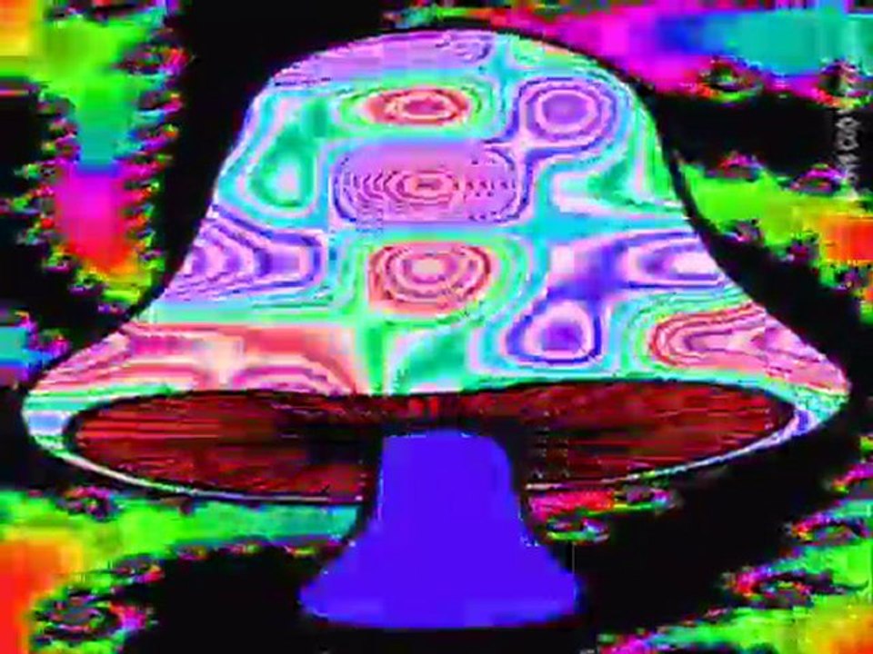 AFRO BLUU!!!!!!!!!!!!!!!!!!!!--THE MOVEMENT!!!!!!!!!!!!!!!!!