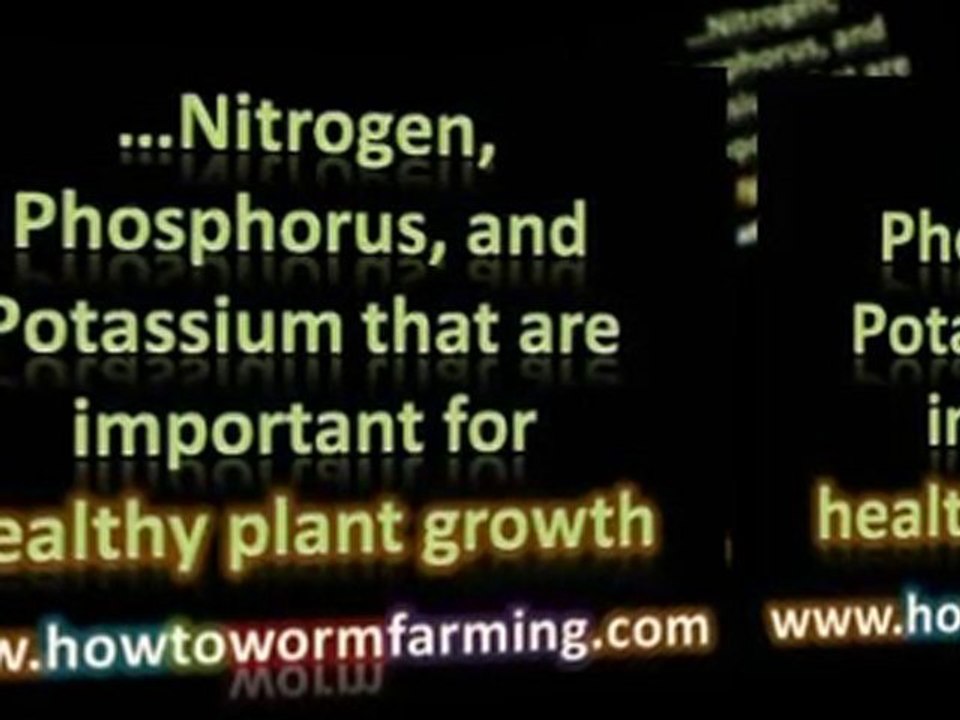 Organic Gardening Guide Worm Composting: Building Worm Bed