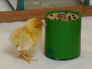 L'esprit peut-il influencer la matière?