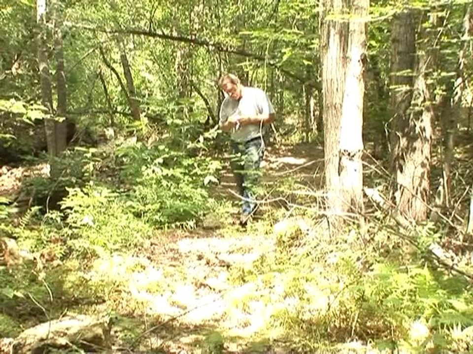 Panning Virginia's streams for gold