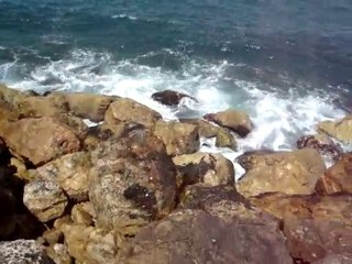 תל אביב יפו