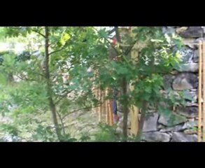 CAPTEURS DE REVES - CERCLE DES ARTISTES DE SAINT PAUL