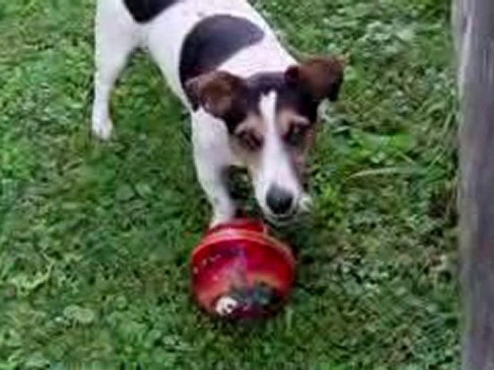 Doliprane et son ballon 1